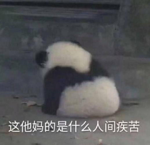 阴阳师新区刷什么副本?阴阳师新区练什么?