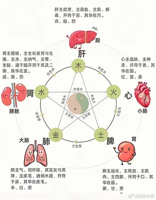我是阴阳师是什么意思,我是个阴阳师?