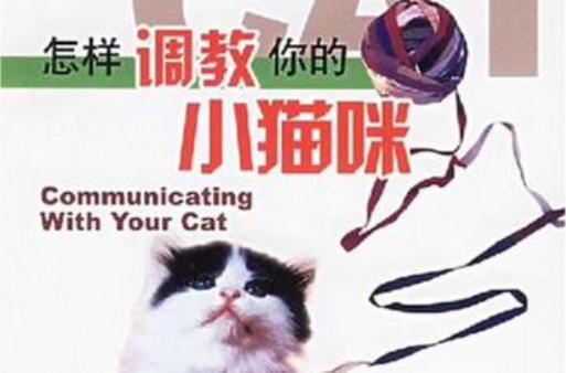 阴阳师疫苗是什么属性,阴阳师怎么打?