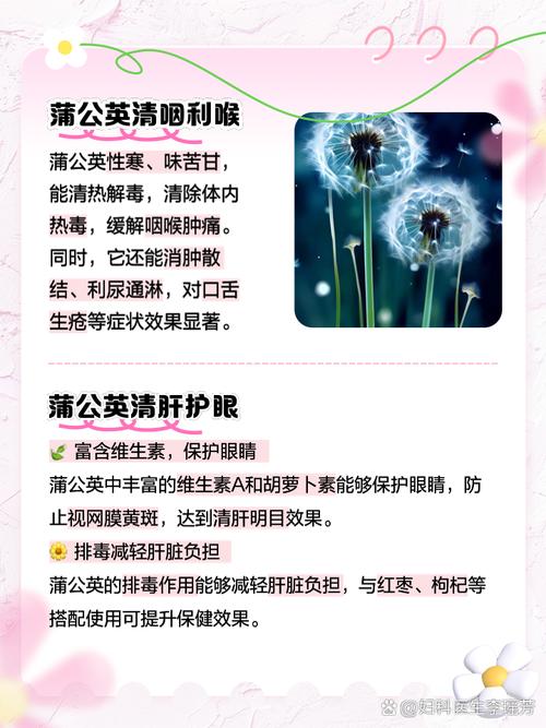 阴阳师蒲公英叮是什么？阴阳师中蒲公英哪里多？