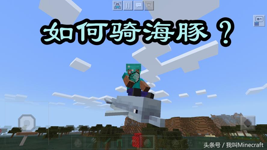 我的世界养海豚教程？我的世界如何喂养海豚？