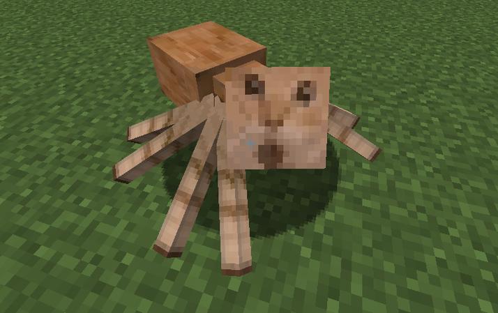 我的世界蜘蛛舞蹈教程，我的世界蜘蛛舞蹈教程视频