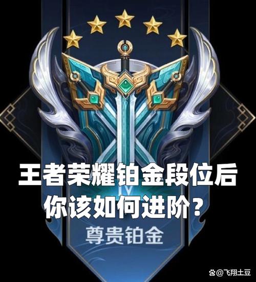 王者荣耀铂金对决视频教学，王者荣耀铂金局视频？
