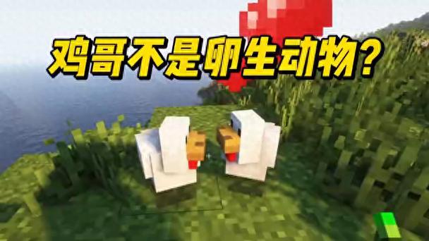 我的世界哈士奇教学教程,我的世界哈士奇教学教程大全?