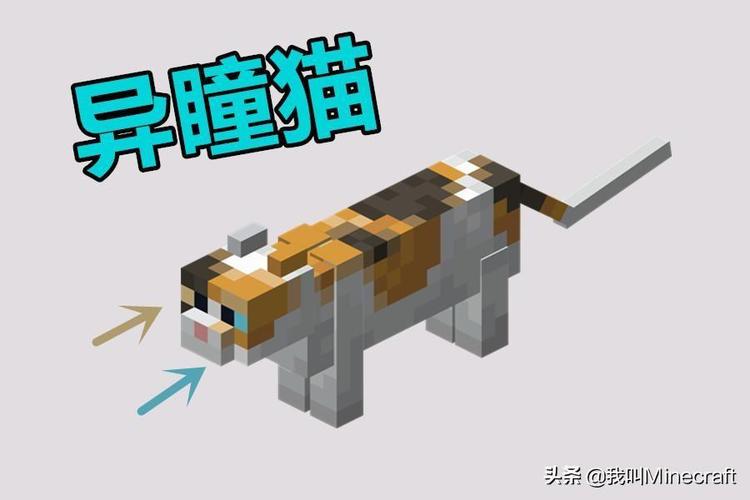 我的世界杀小猫教程,我的世界什么生物杀猫?