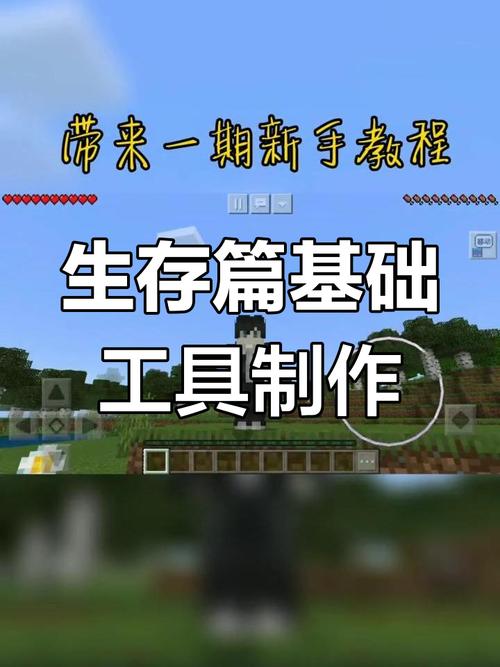 我的世界视频新人教程,我的世界新手视频