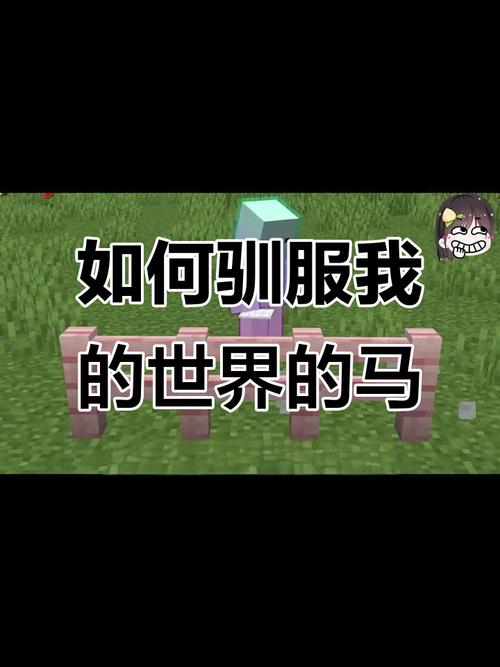 我的世界狼狗教程视频,我的世界狼和狗