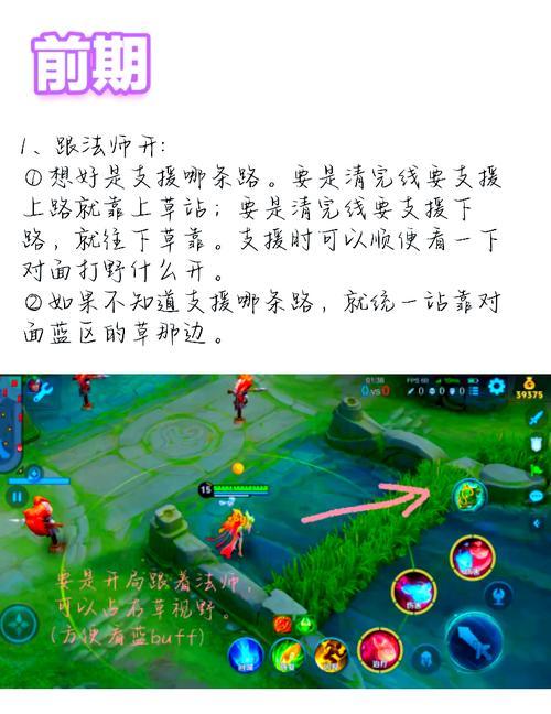 王者荣耀全视野攻略最新?王者荣耀全图视野2021?