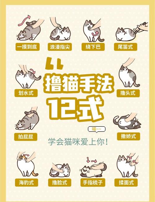 阴阳师养猫御魂,阴阳师领养猫?